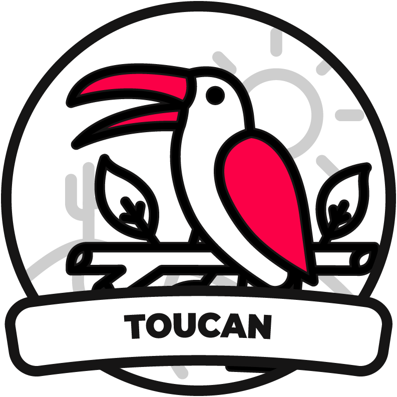 Toucan
